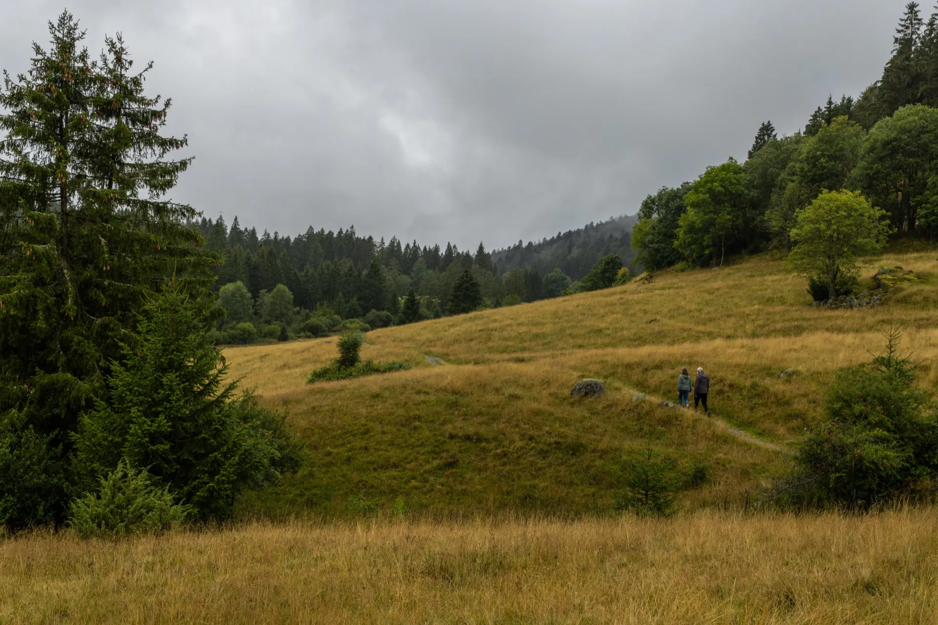 Ibach Panoramaweg - Black Forest Germany