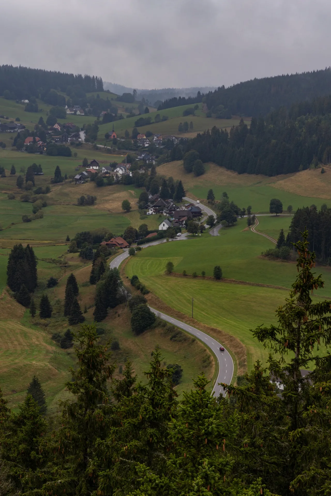 View from Riesenbühlturm - Black Forest Germany