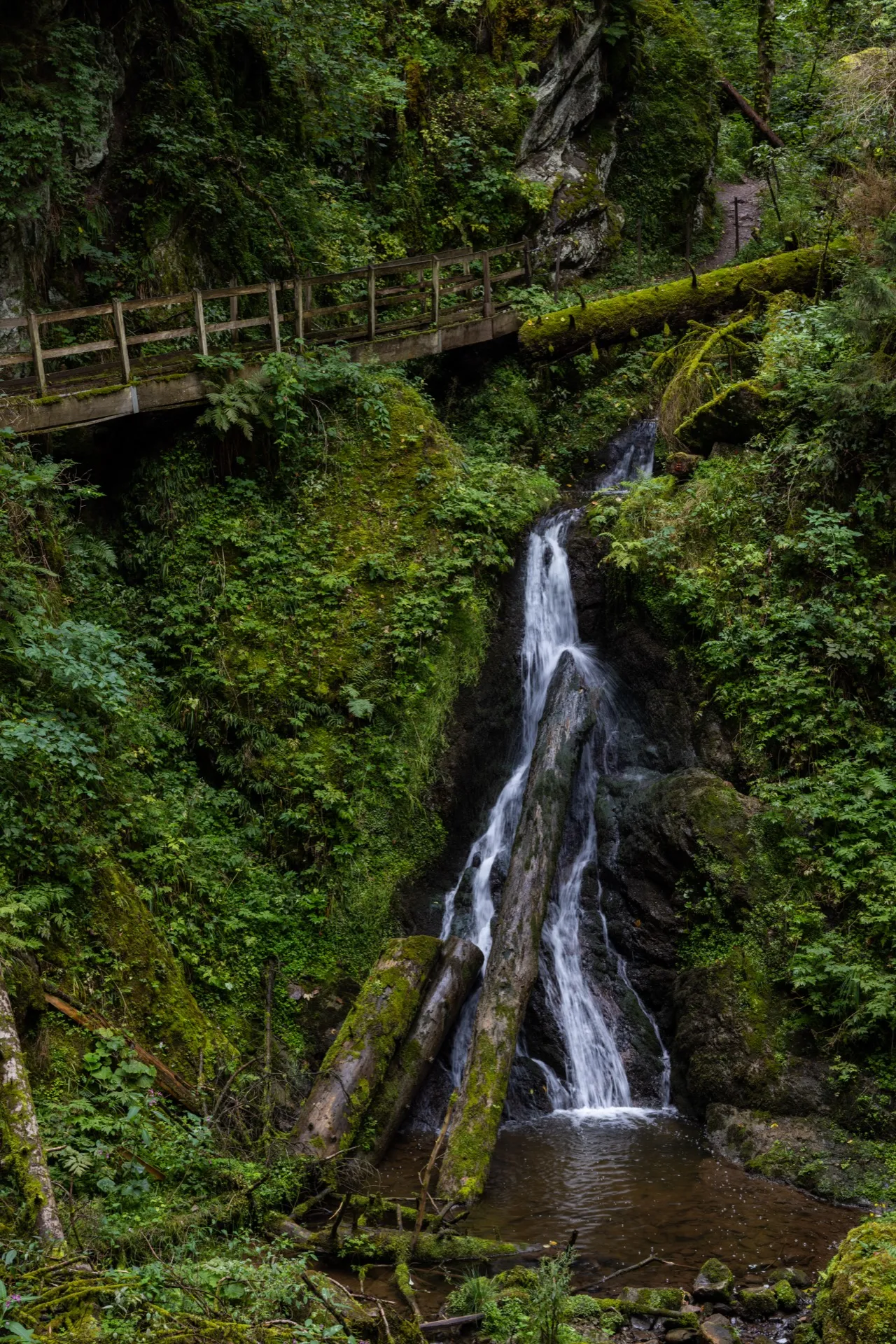 Lotenbach Gorge - Black Forest Germany