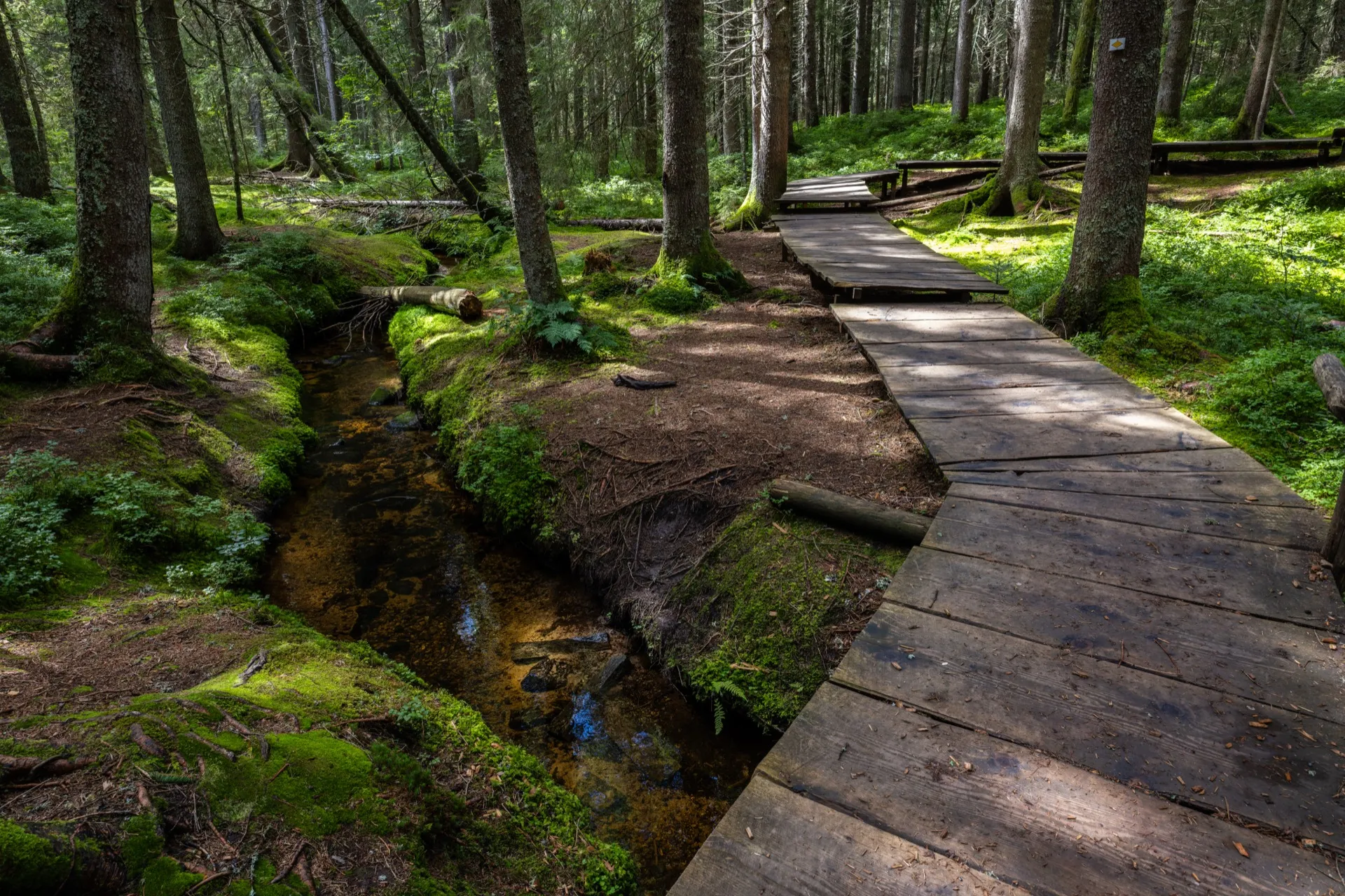 Zaubenwald - Black Forest Germany