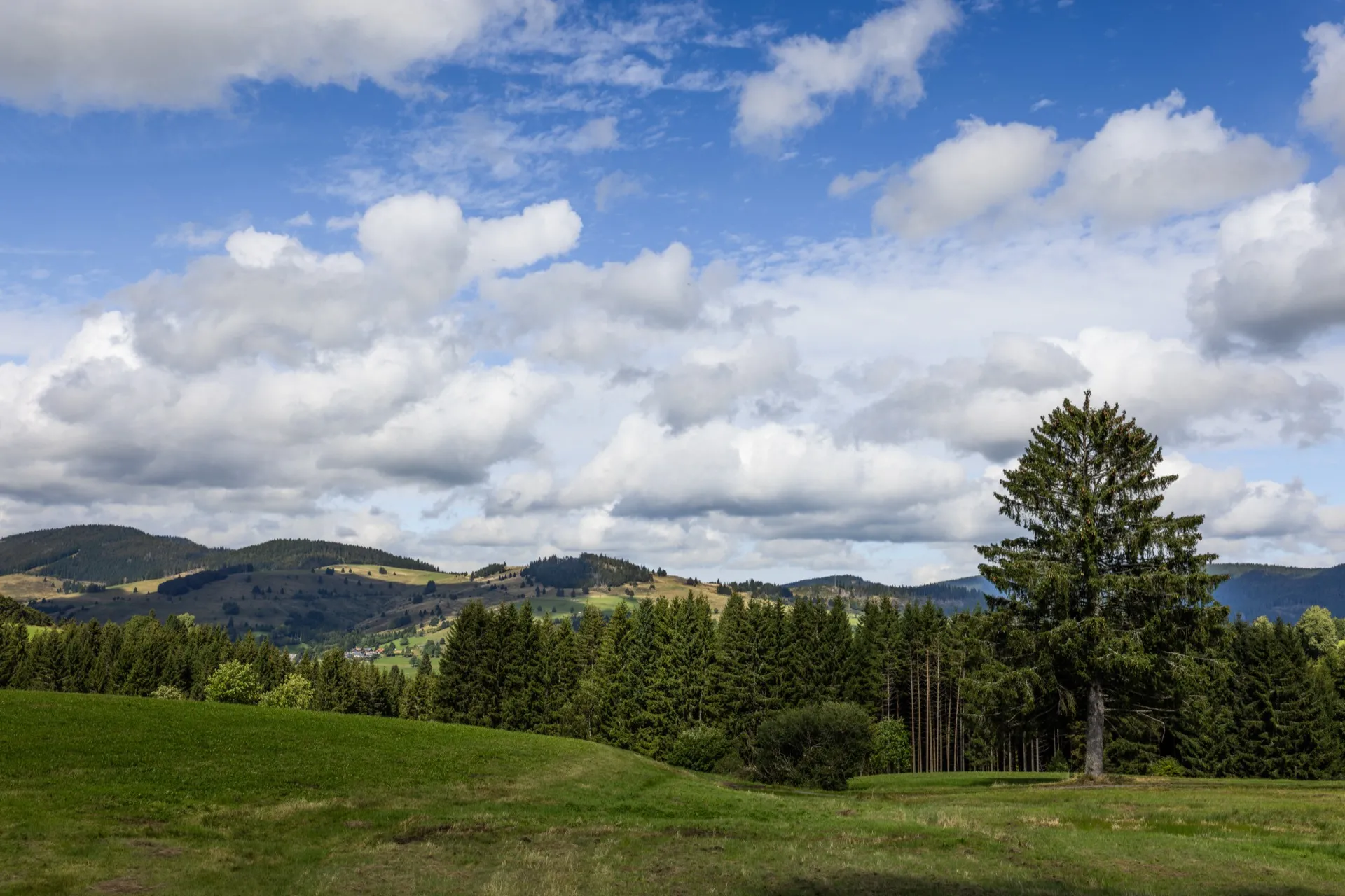 Zaubenwald - Black Forest Germany