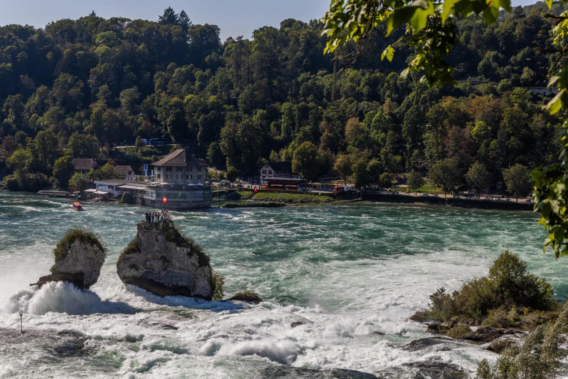 Rhine Falls - Black Forest Germany