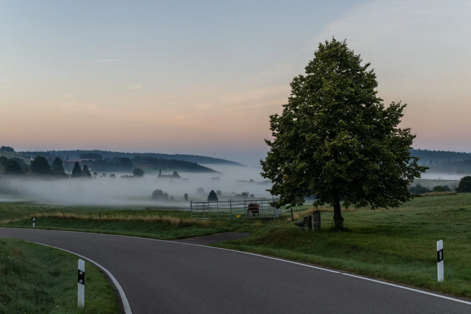 Misty Valley in Ibach - Black Forest Germany