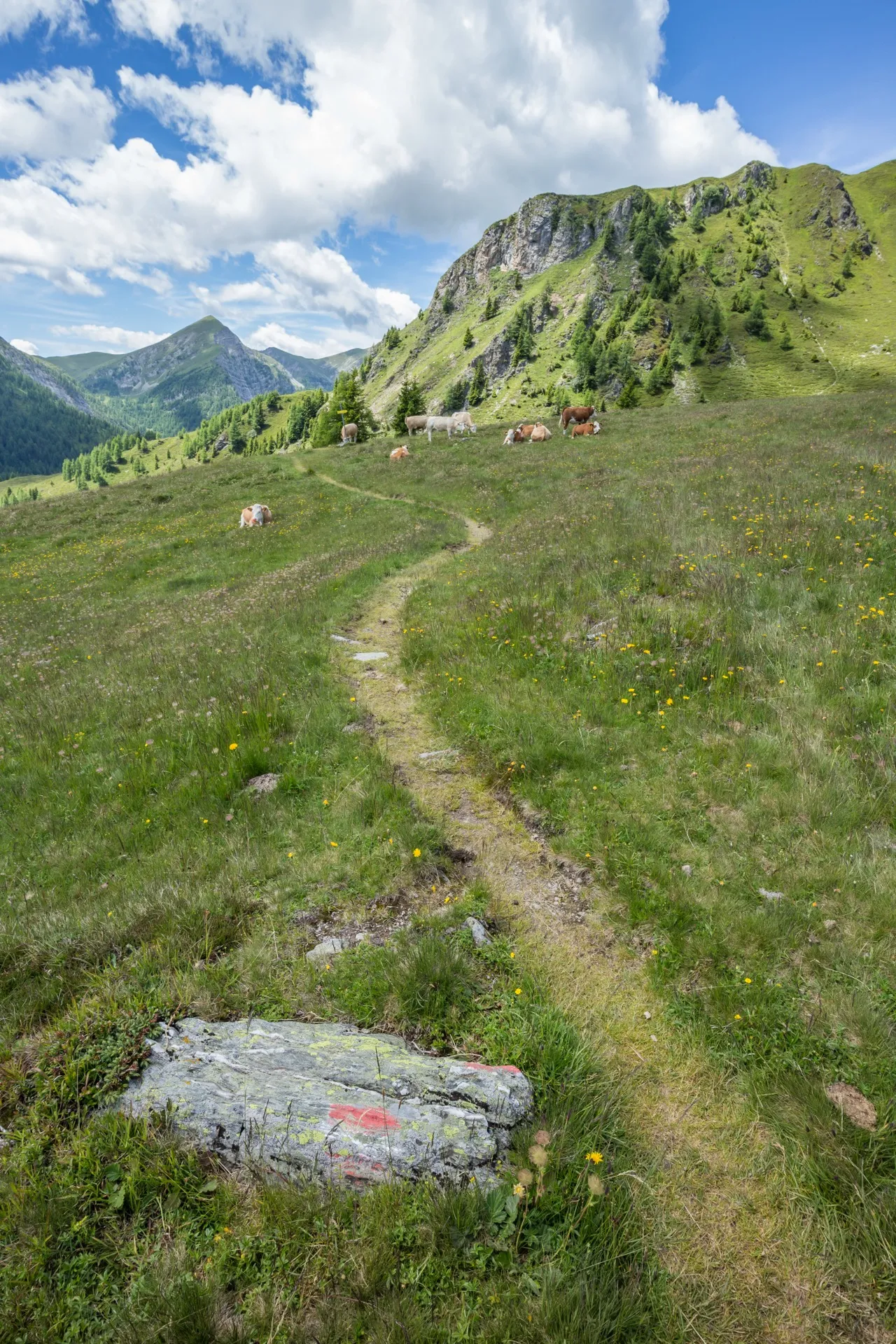 Goldeck GPS Erhebung - Austria