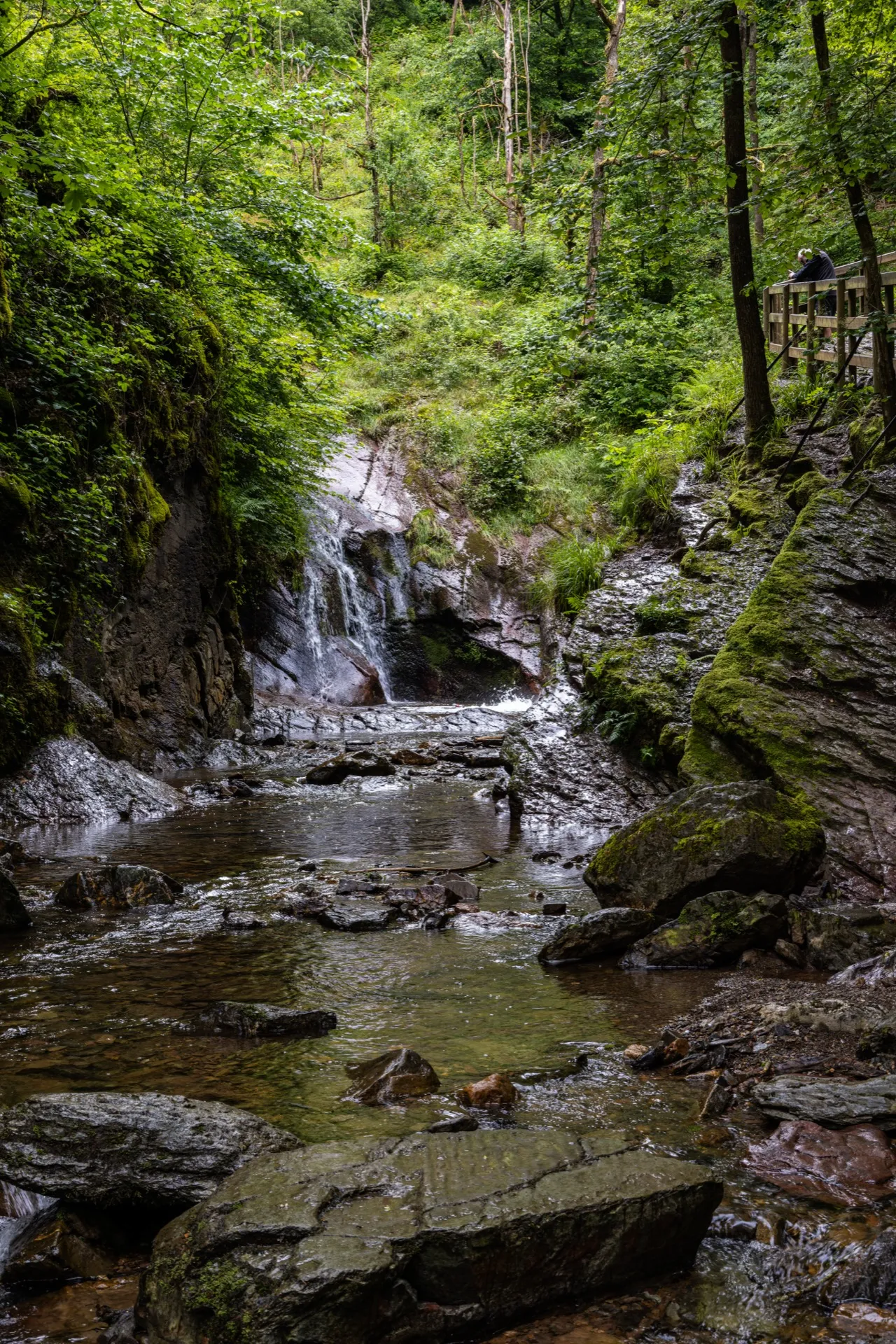 Cascade de la Chaudière Ninglinspo - Ardennes Belgium