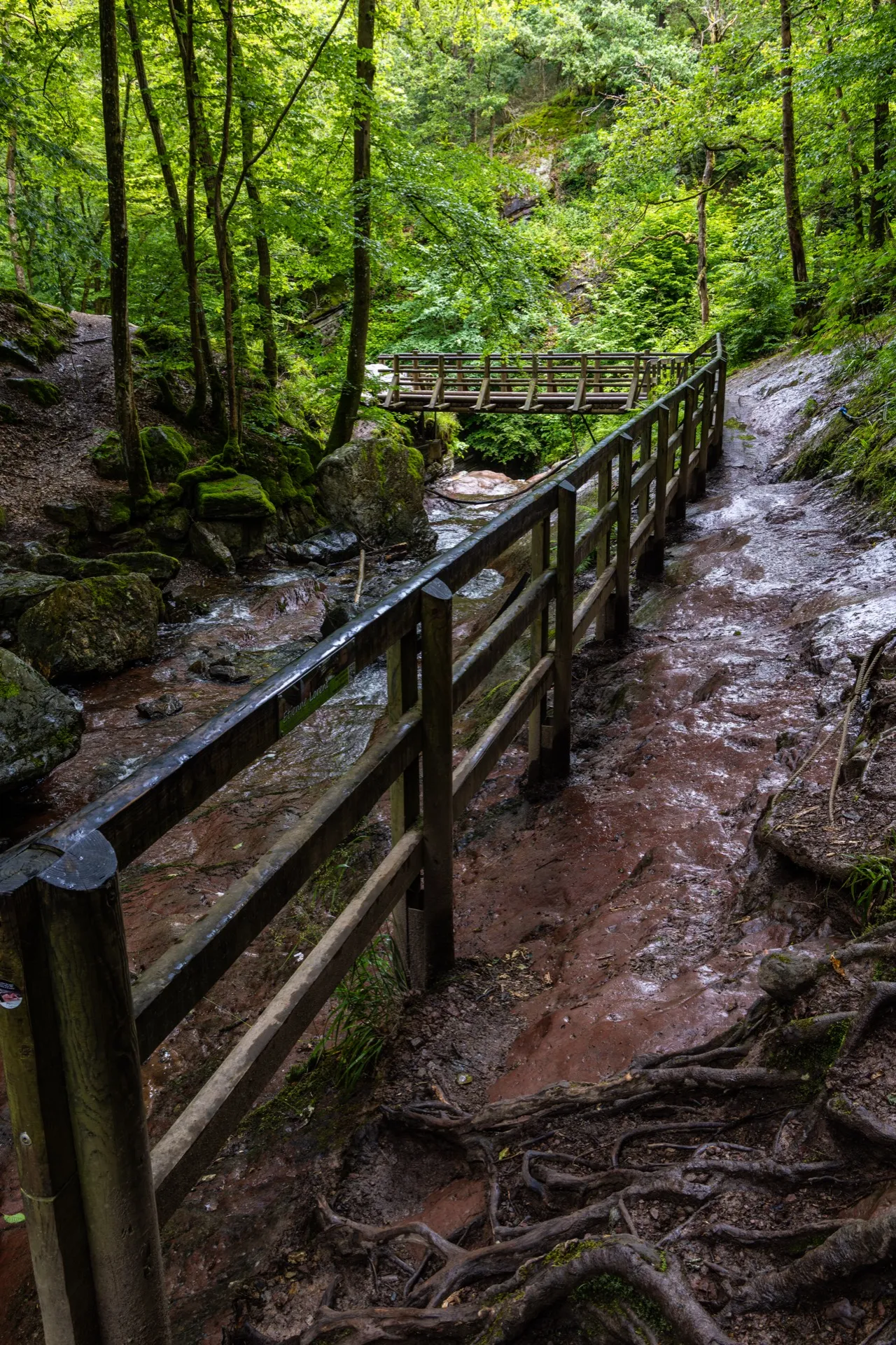 Ninglinspo trail - Ardennes Belgium