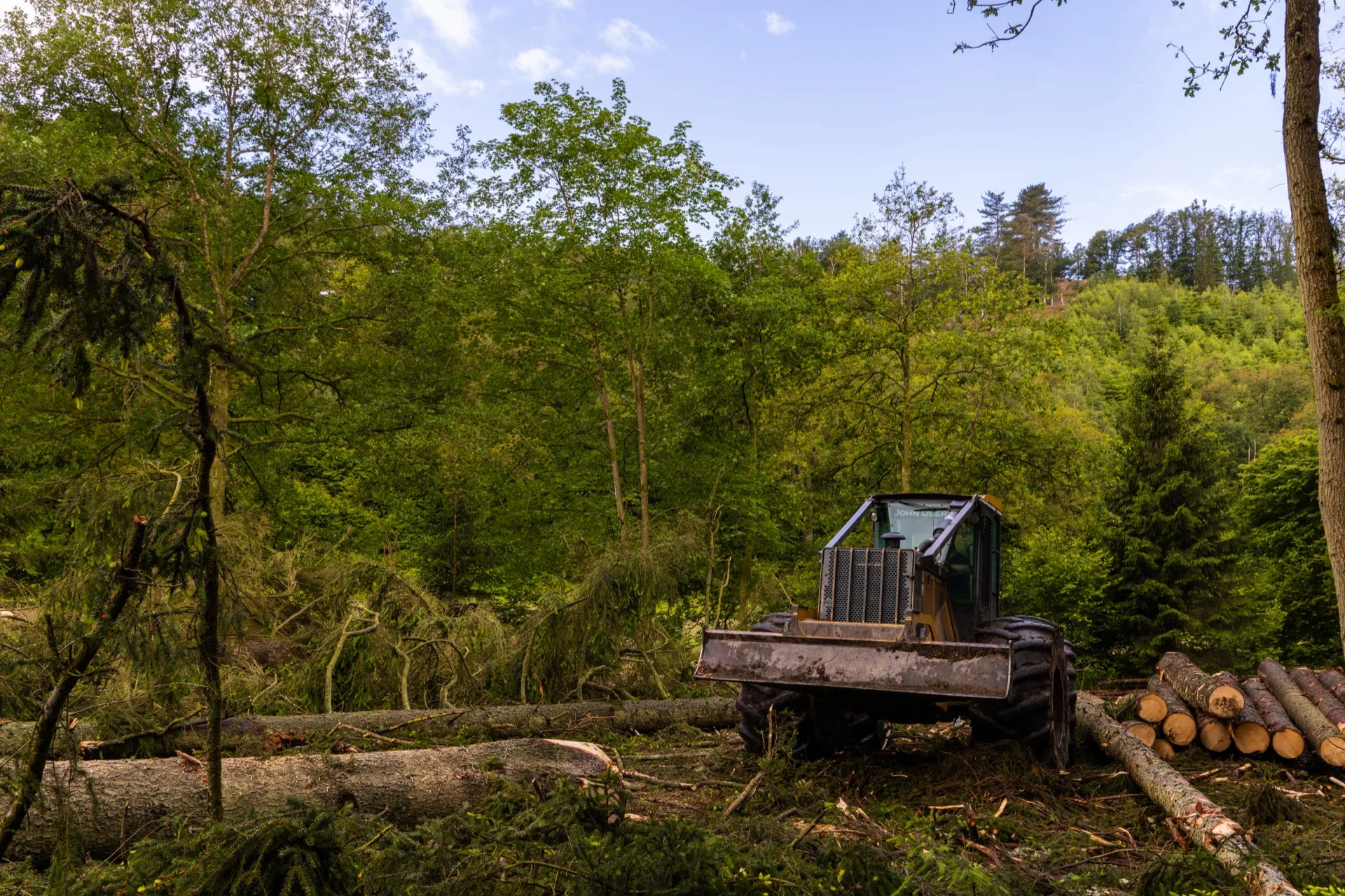 Forest works Ninglinspo trail - Ardennes Belgium