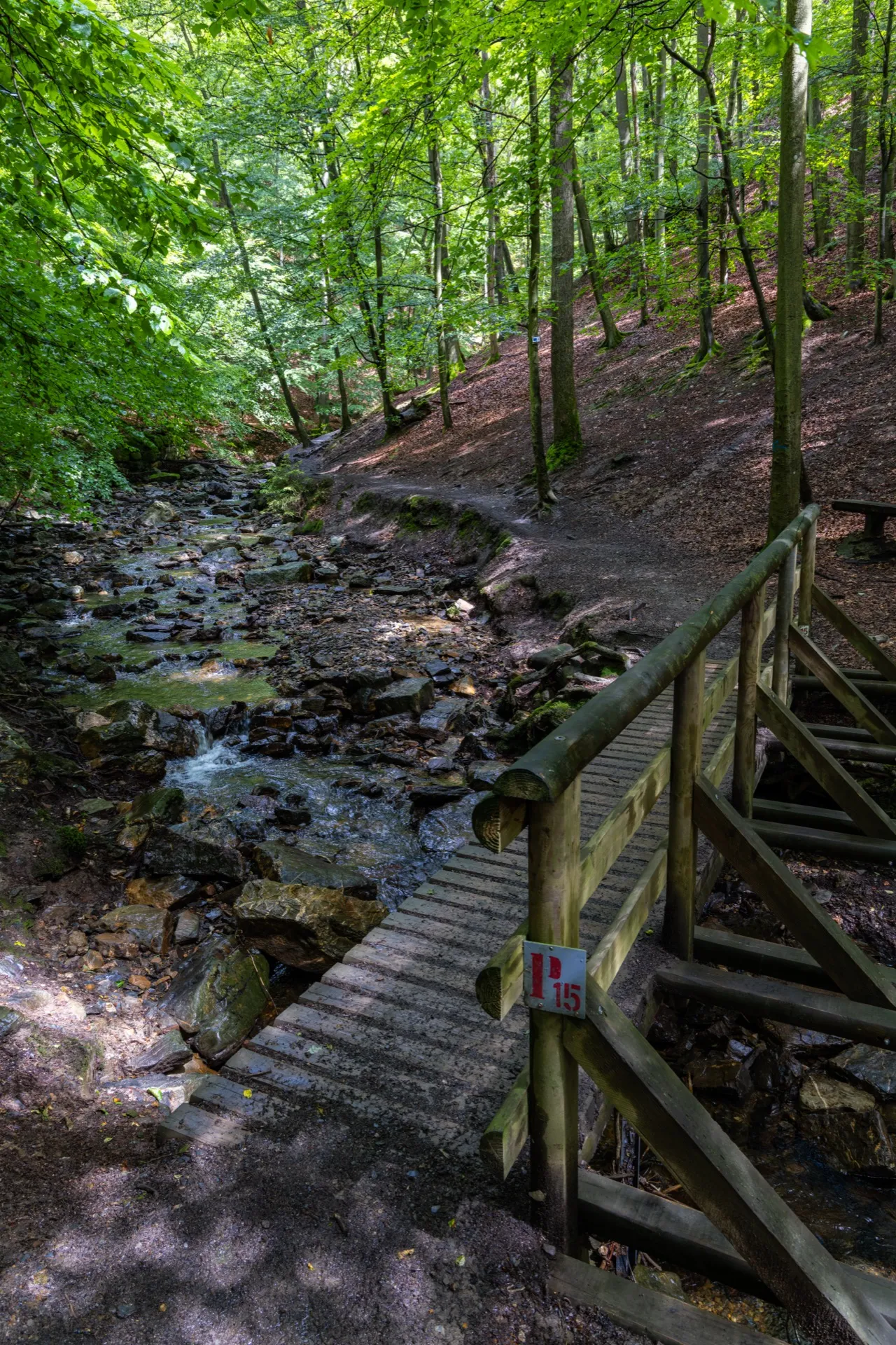 Ninglinspo trail - Ardennes Belgium