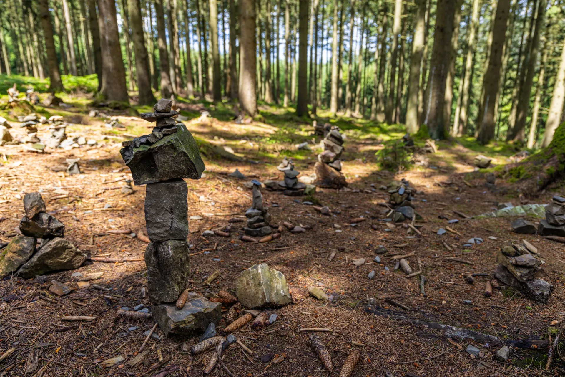Cairns Forest Ninglinspo trail - Ardennes Belgium