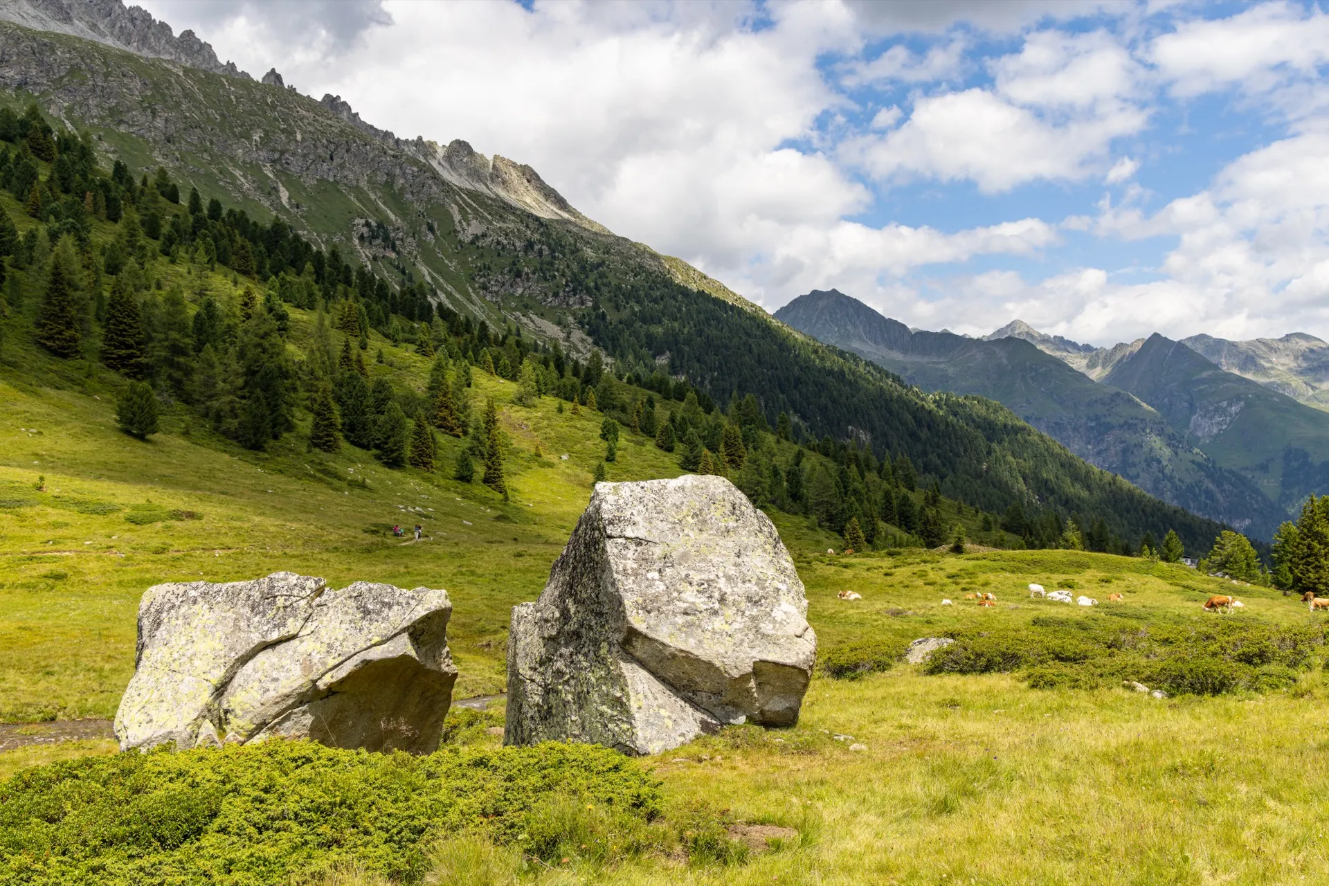 Big boulder at Obersee - Dolomites Austria