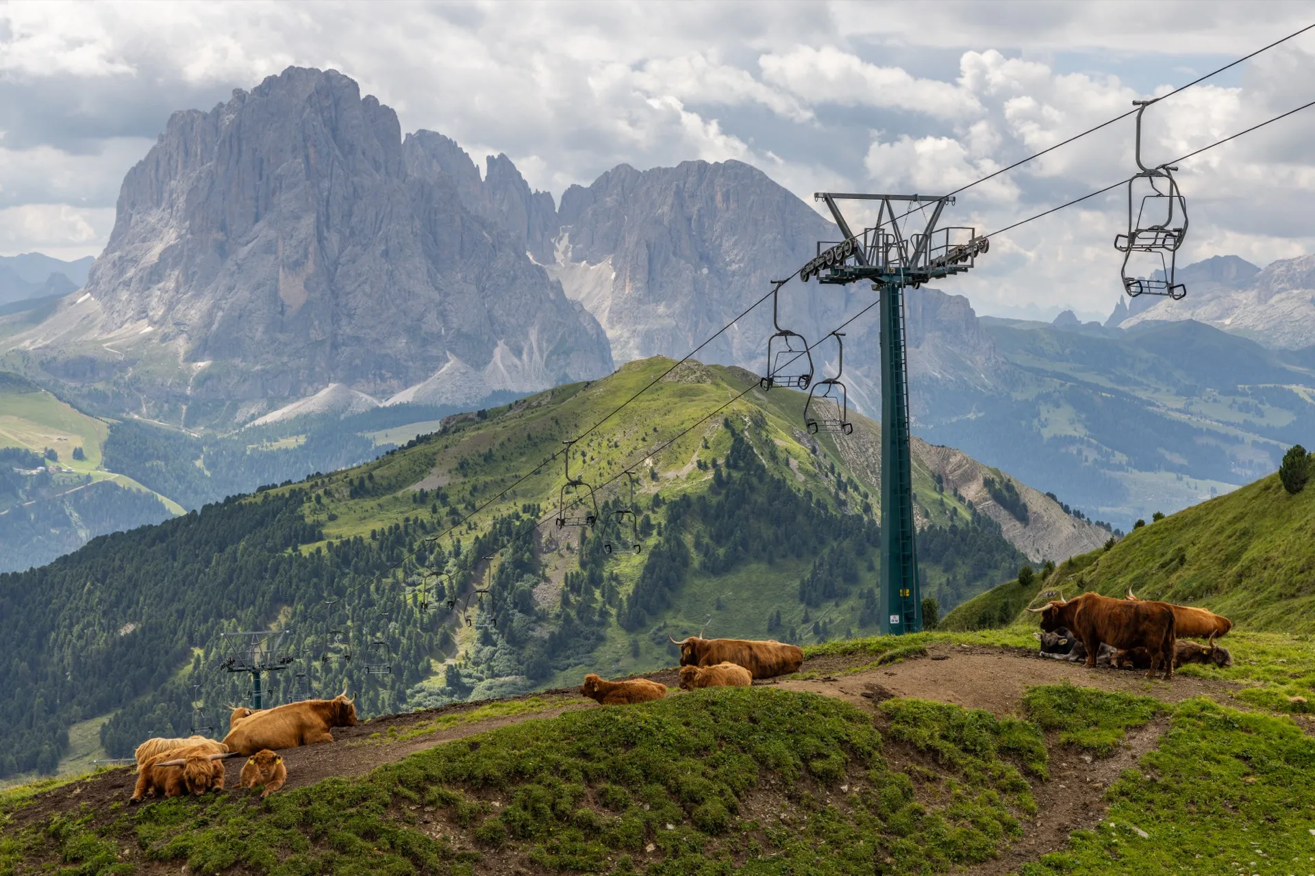 Highlanders on top of Seceda - Dolomites Italy
