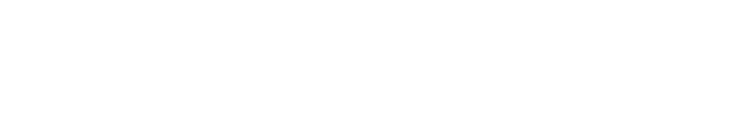 Pasqual Demmenie Website Logo