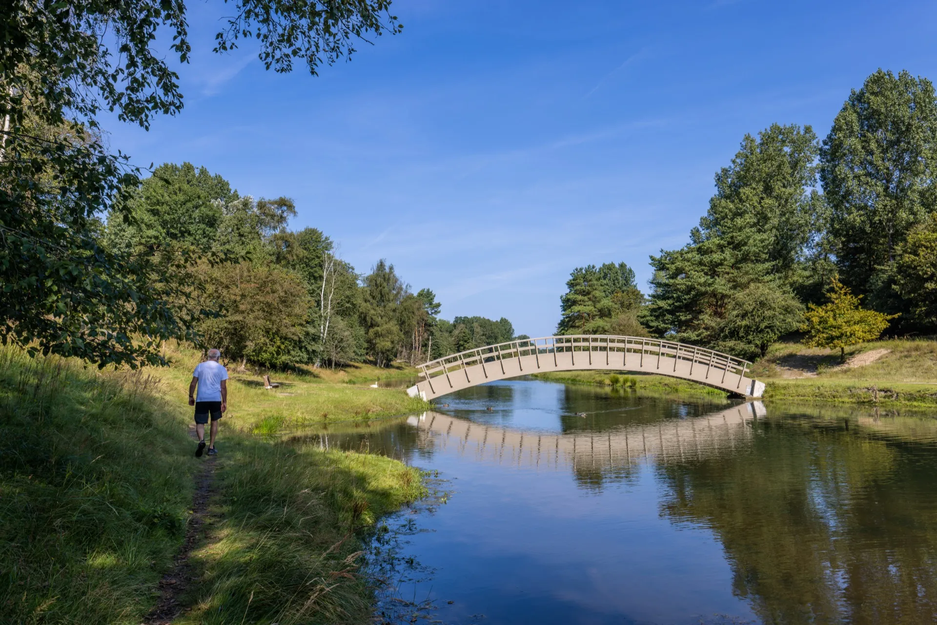 Narrow path - Amsterdamse Waterleidingduinen