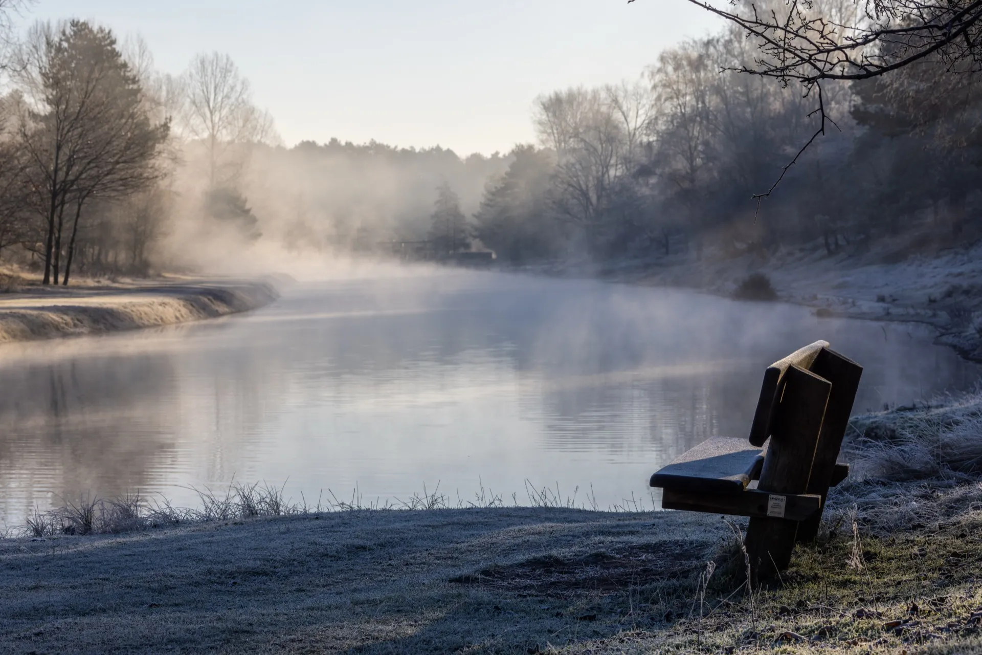 Cold misty morning - Amsterdamse Waterleidingduinen