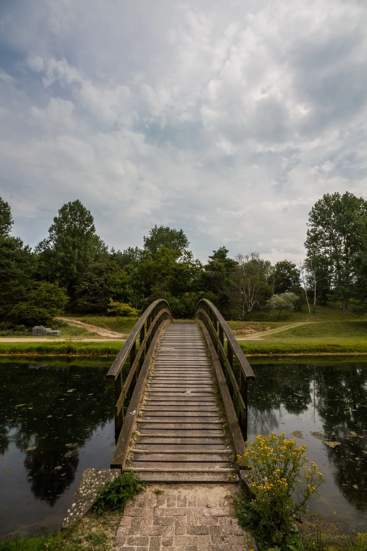 Bridge - Amsterdamse Waterleidingduinen