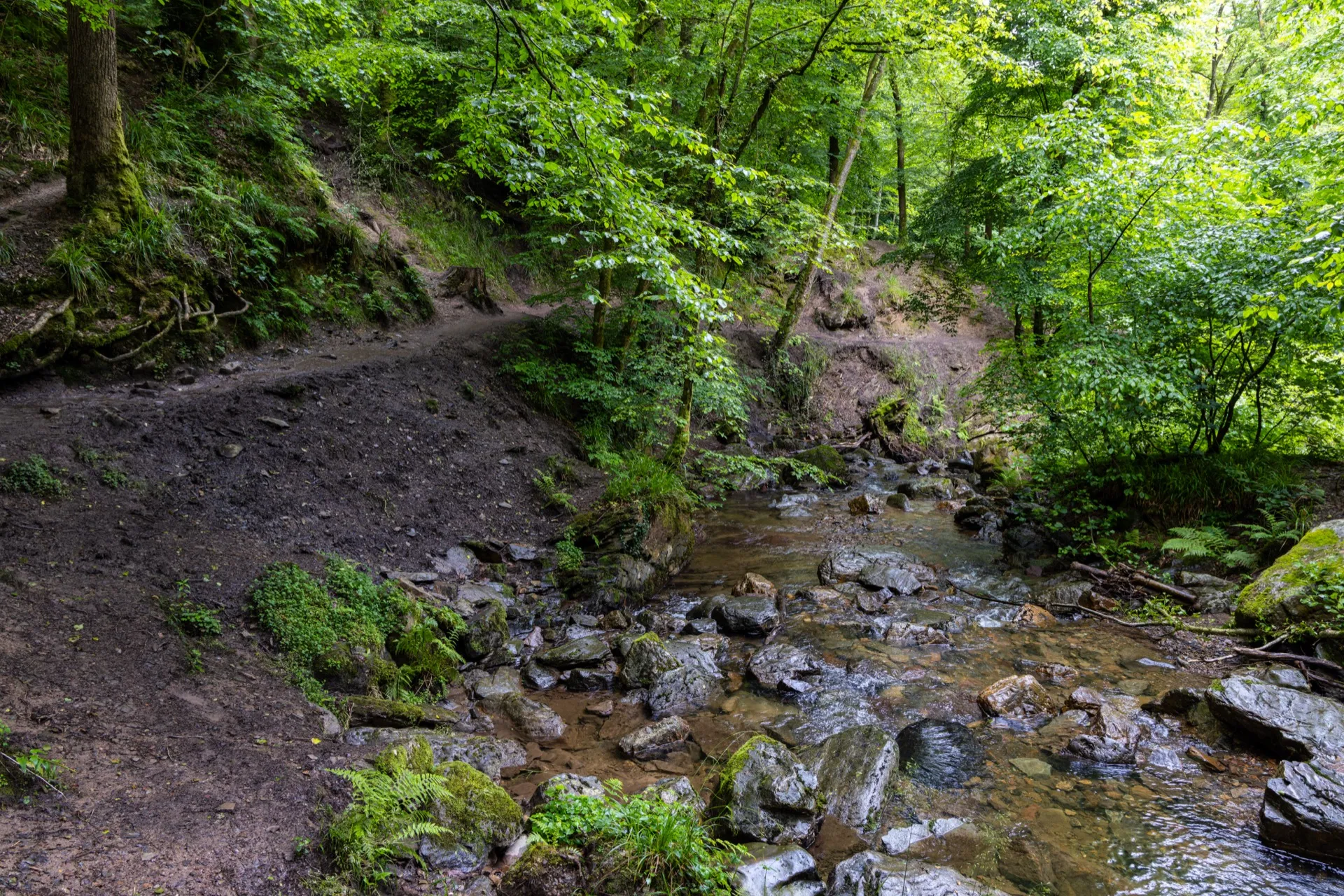 Ninglinspo - Ardennes Belgium