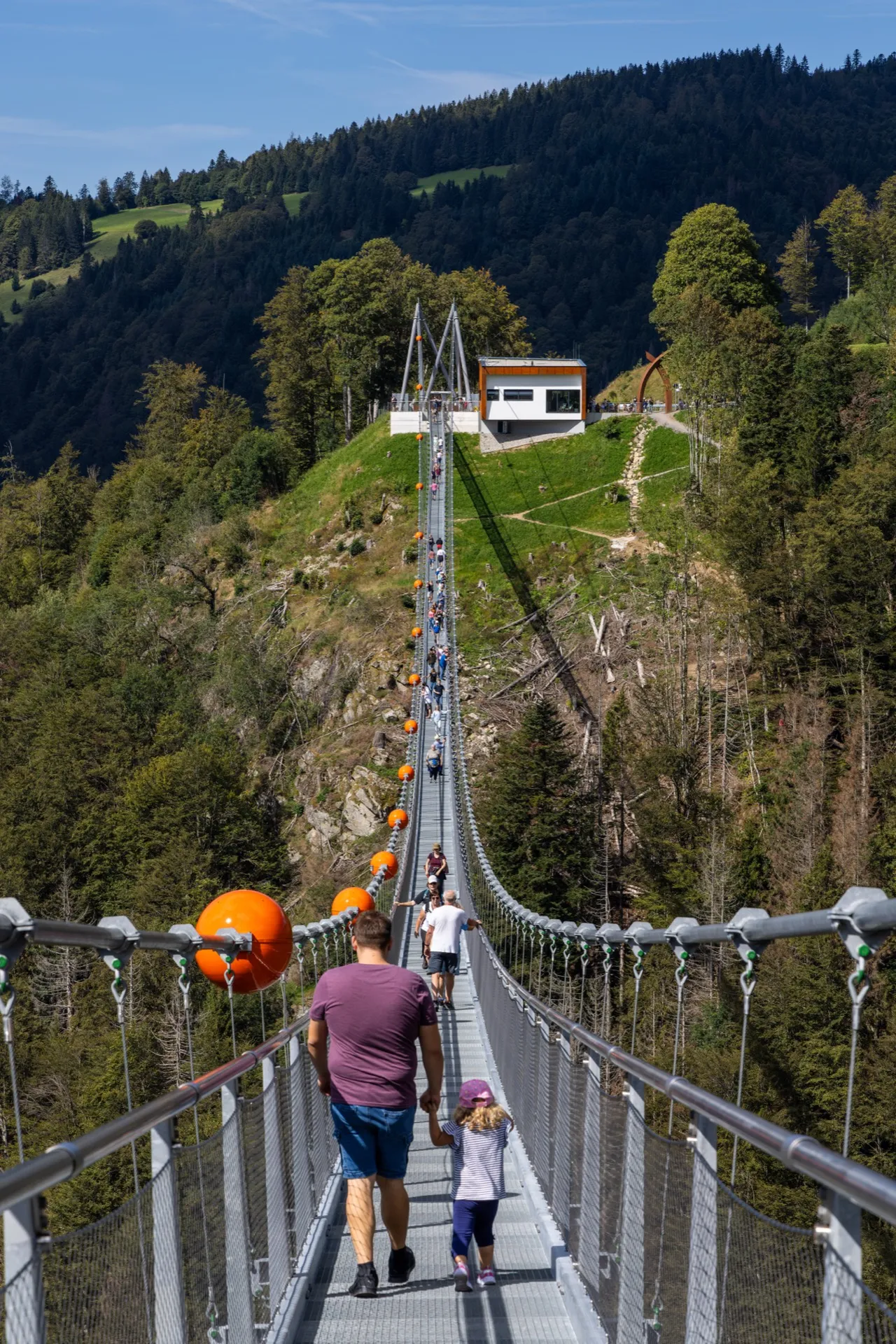 Black Forest Line Suspension Bridge - Black Forest Germany