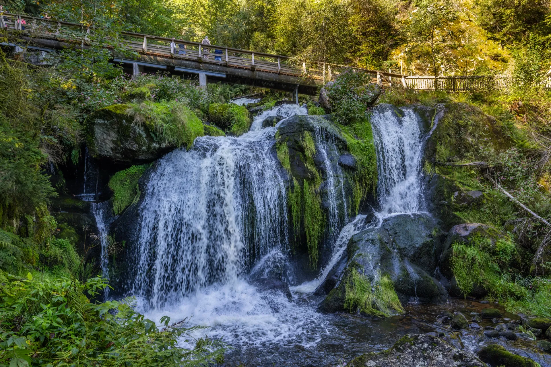 One of the Triberg Waterfalls - Black Forest Germany