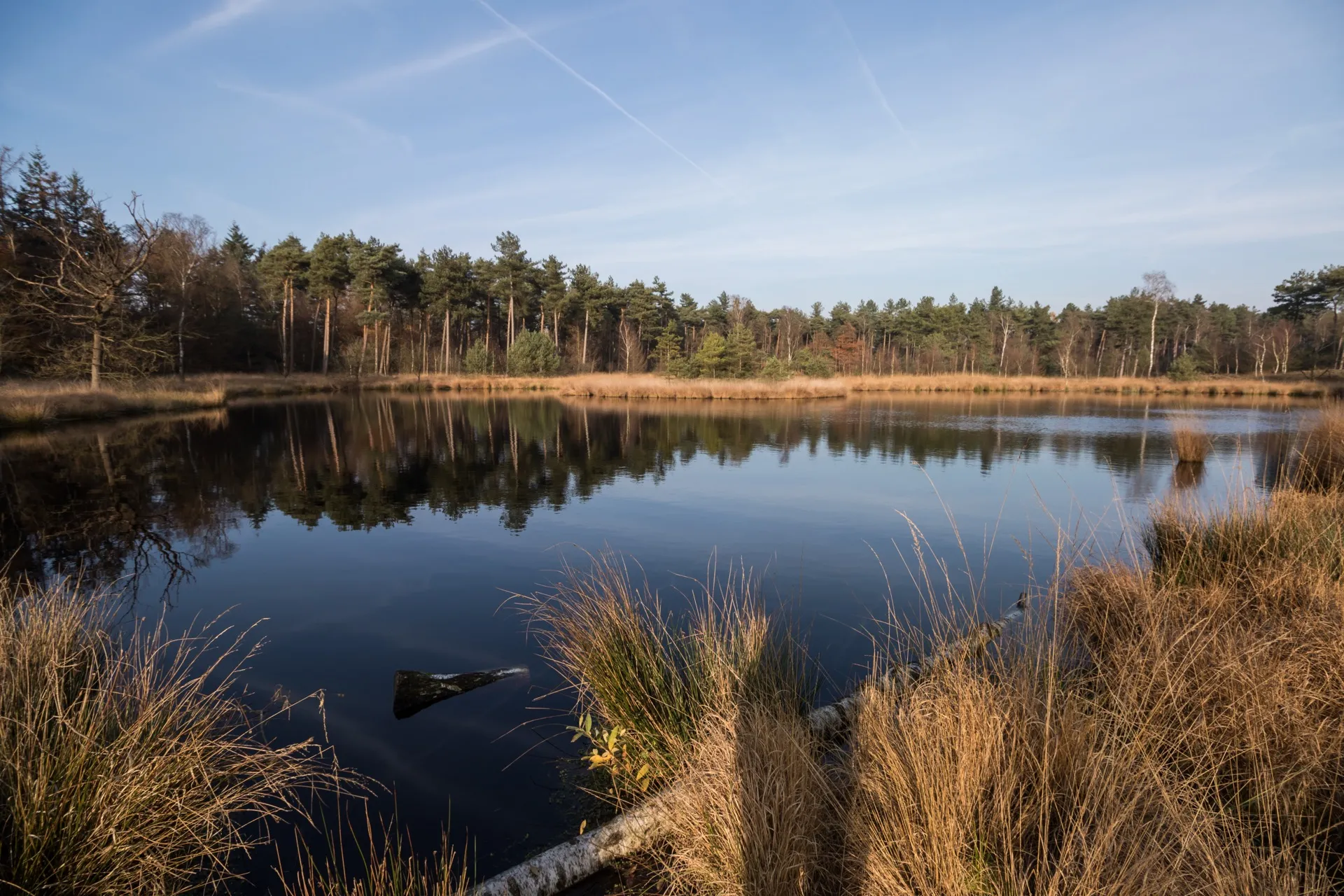 Lammervennen - Oisterwijk Netherlands
