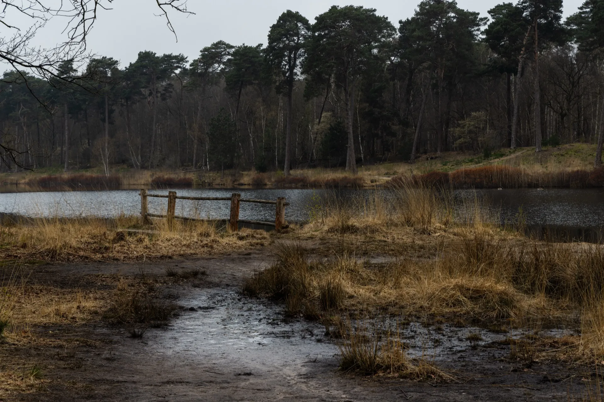 Van Esschenven - Oisterwijk Netherlands