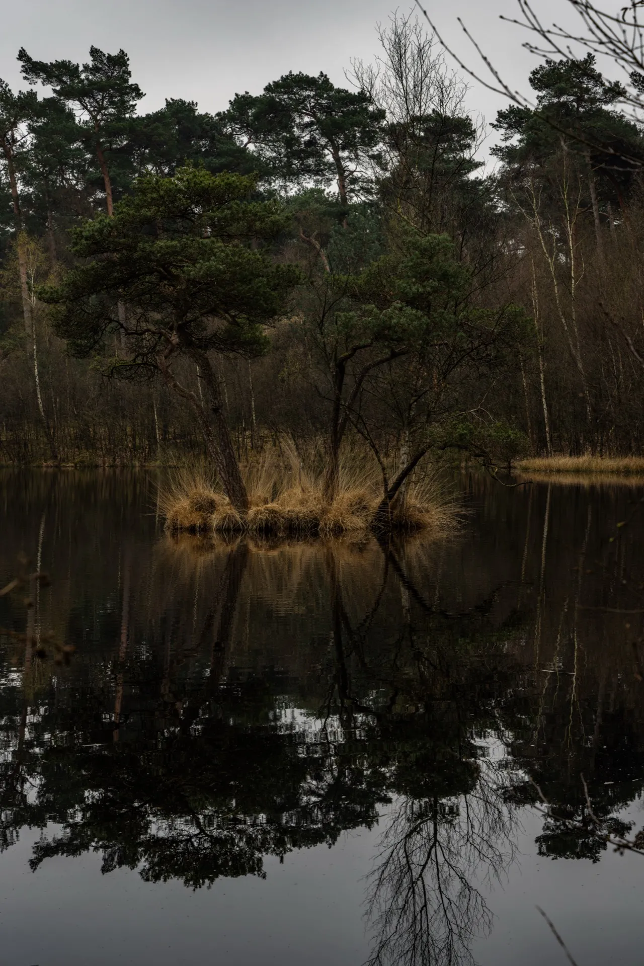 Diaconieven - Oisterwijk Netherlands