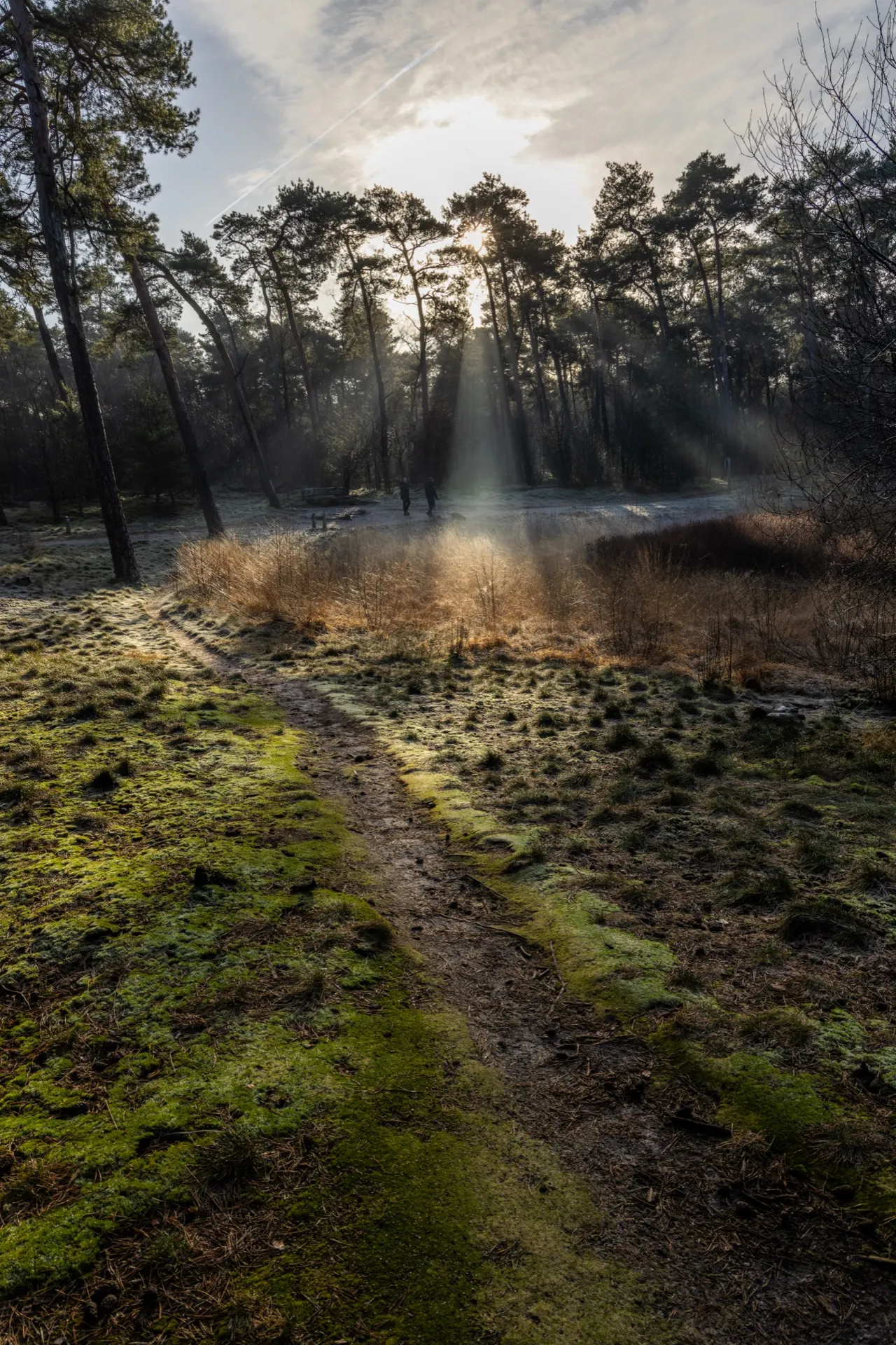 Sunrise at Diaconieven - Oisterwijk Netherlands