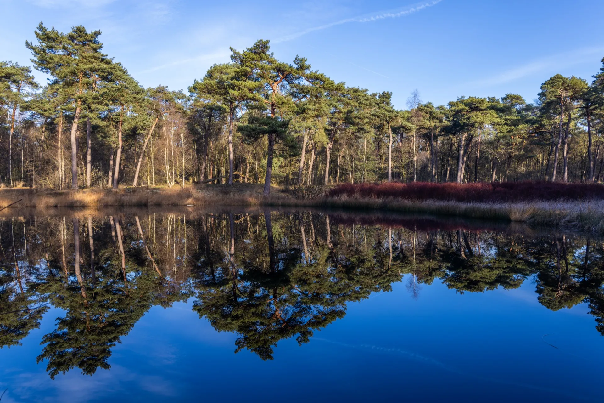 Diaconieven - Oisterwijk Netherlands