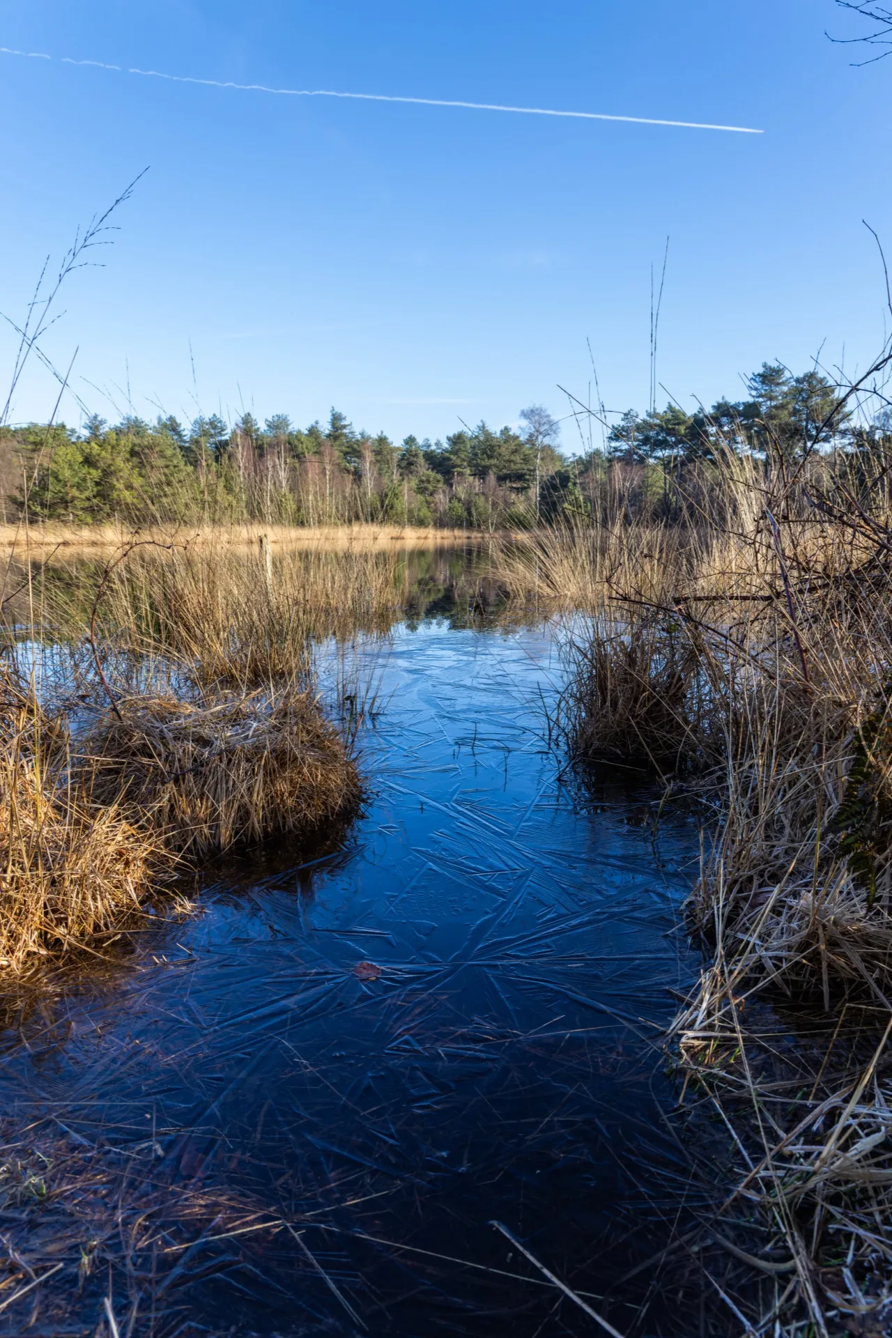 Ice at Lammervennen - Oisterwijk Netherlands