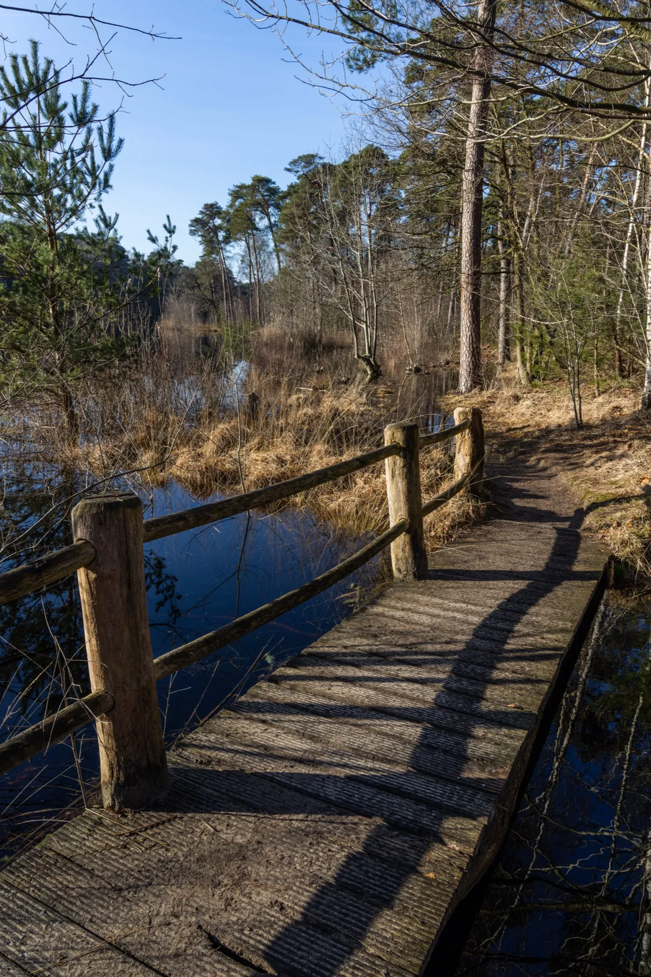 Bridge at Witven - Netherlands