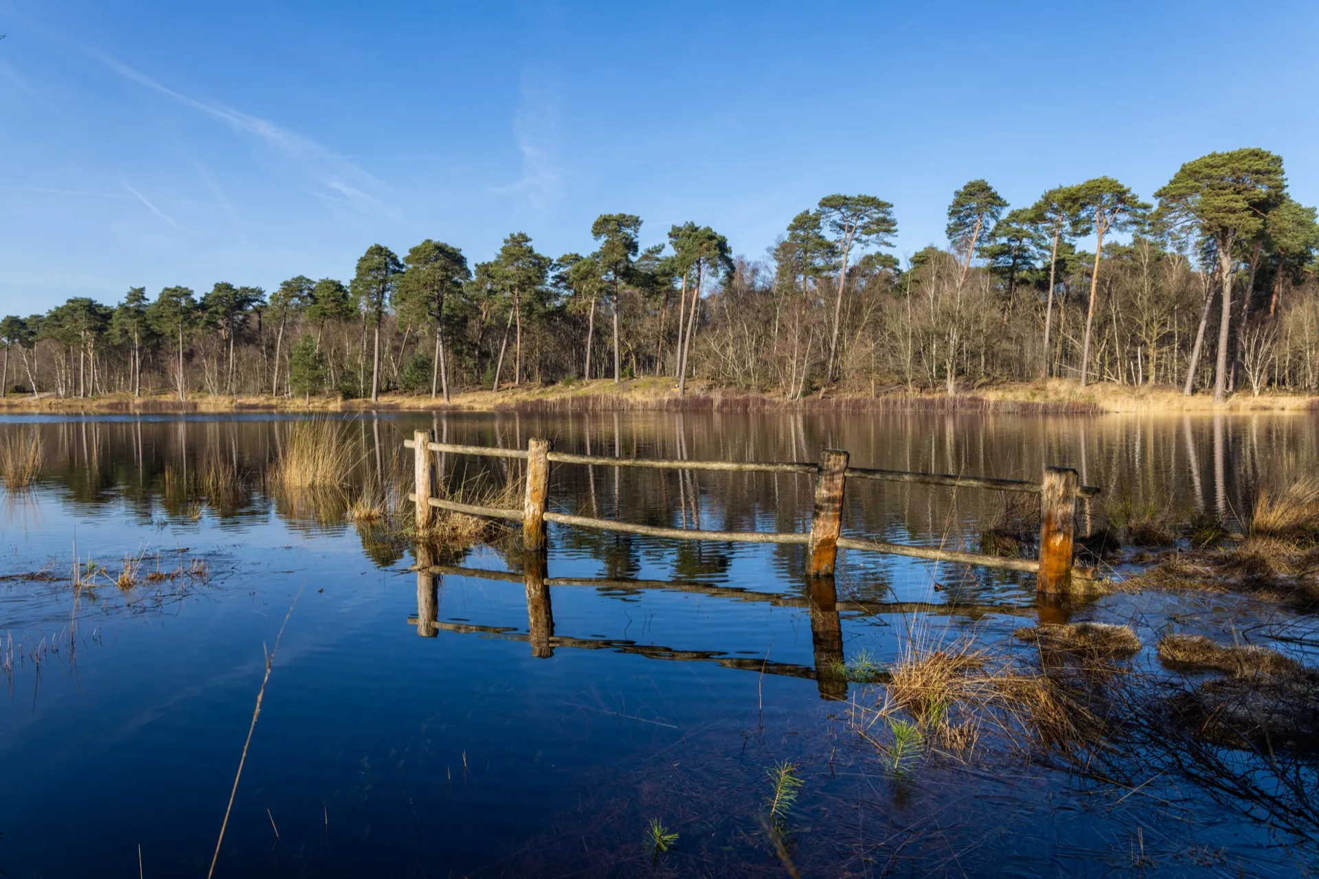 High water at Van Esschenven - Oisterwijk Netherlands