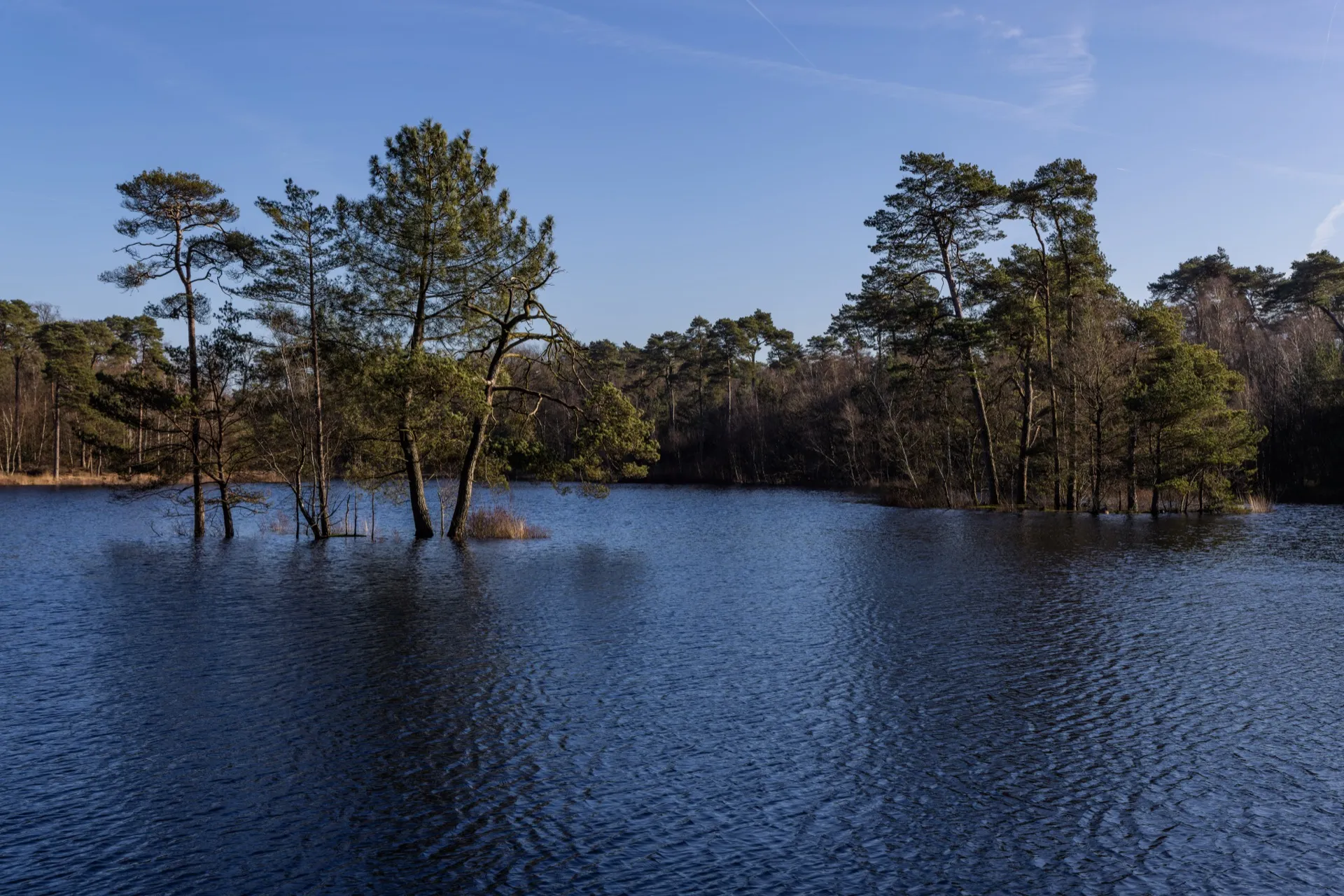 High water at Van Esschenven - Oisterwijk Netherlands