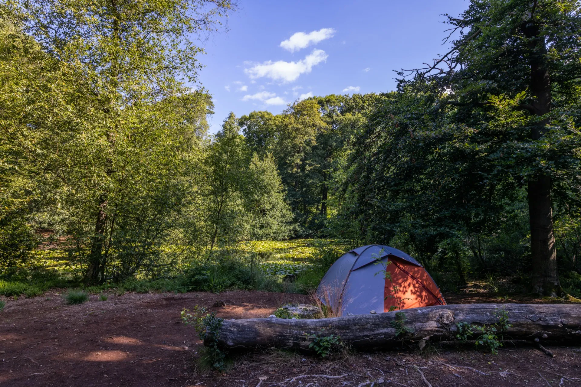 Tent at Speijckven - Oisterwijk Netherlands