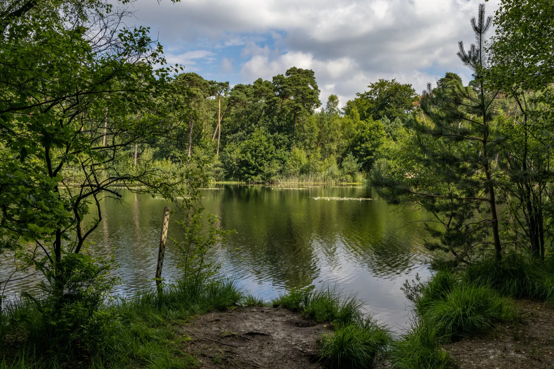 Witven - Oisterwijk Netherlands