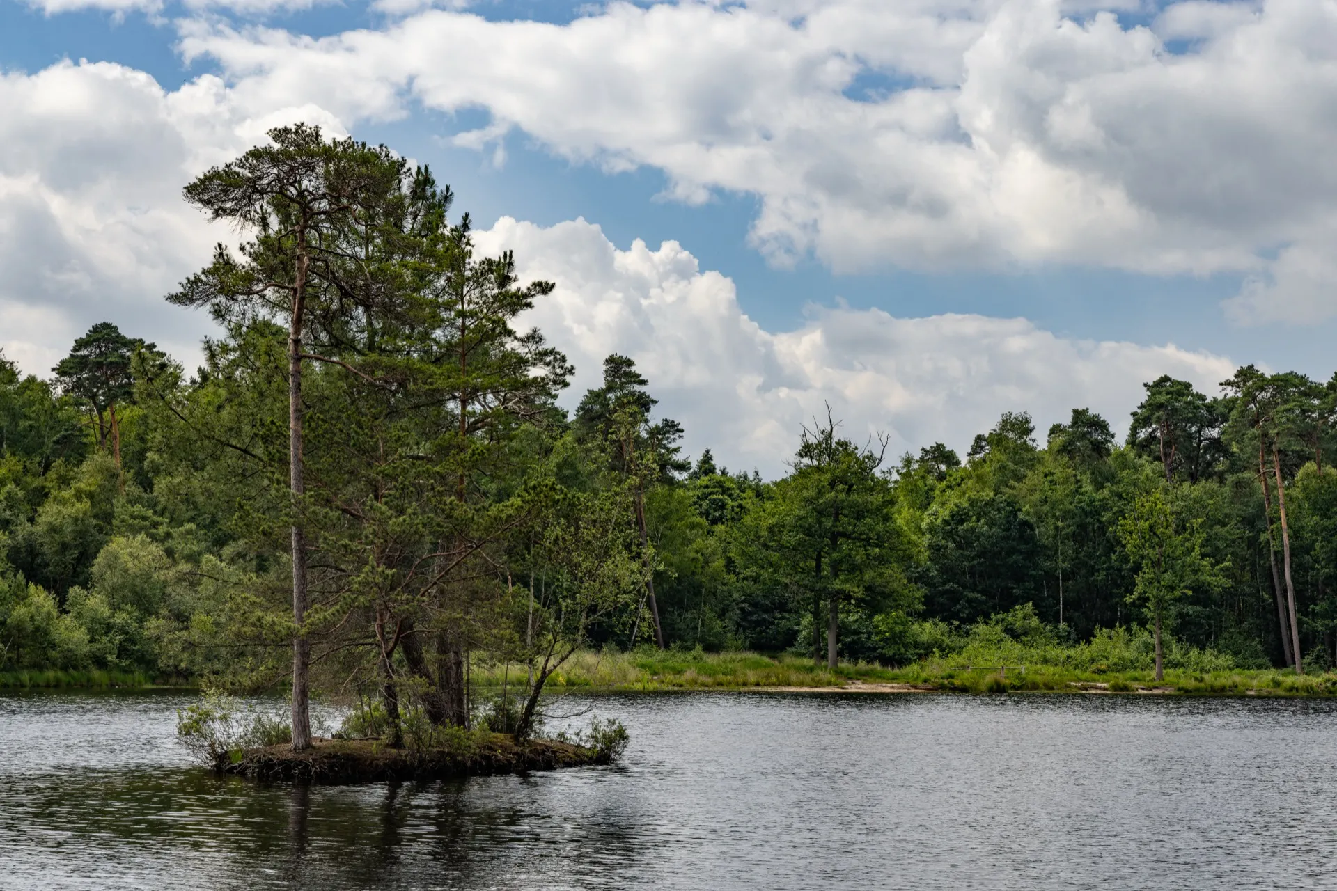 Van Esschenven - Oisterwijk Netherlands