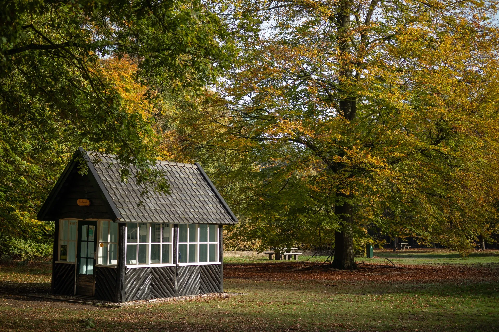 Tiny House - Oisterwijk Netherlands