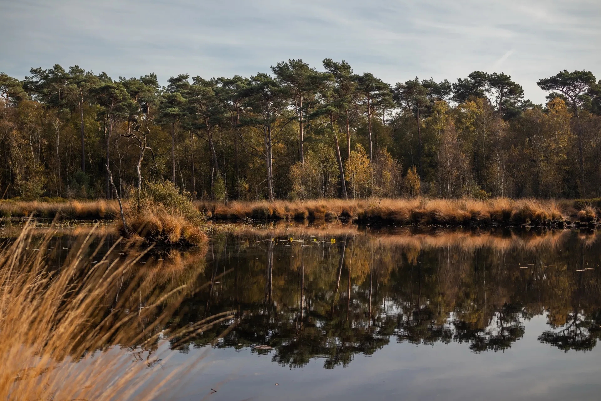 Brandven - Oisterwijk Netherlands