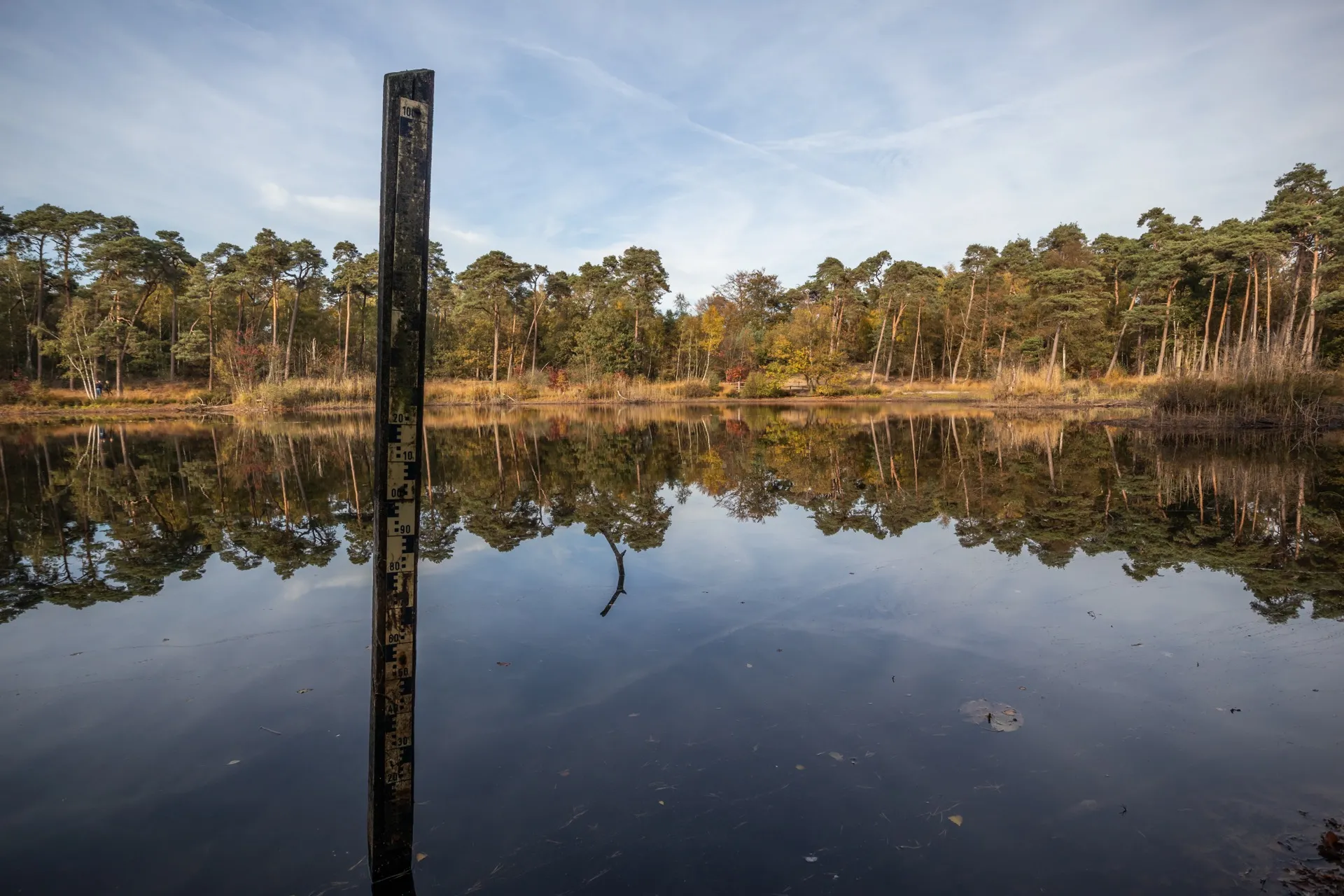 Witven - Oisterwijk Netherlands