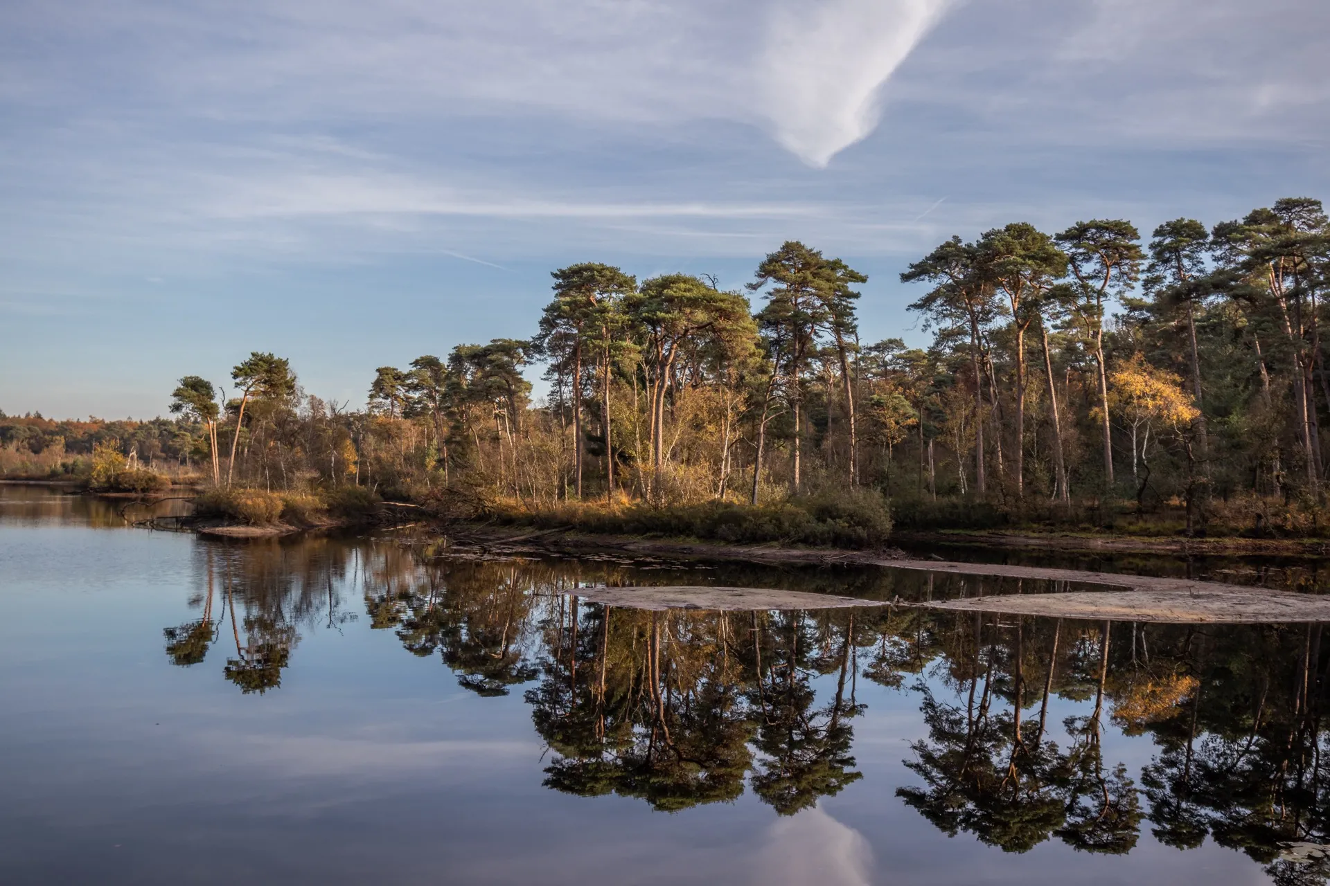 Voorste Goorven - Oisterwijk Netherlands